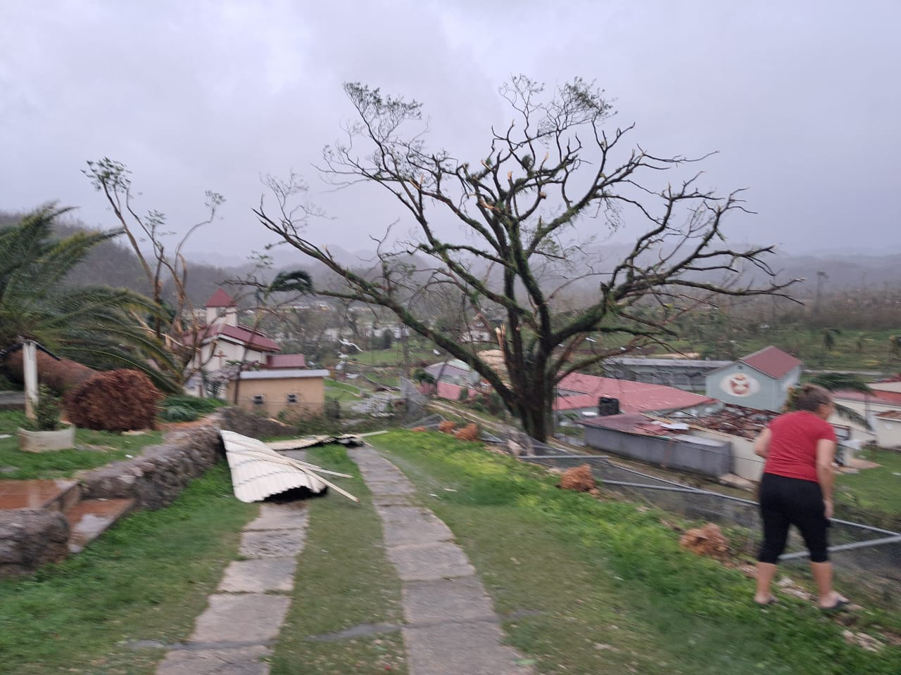 PHOTO-2026-01-09-23-23-00