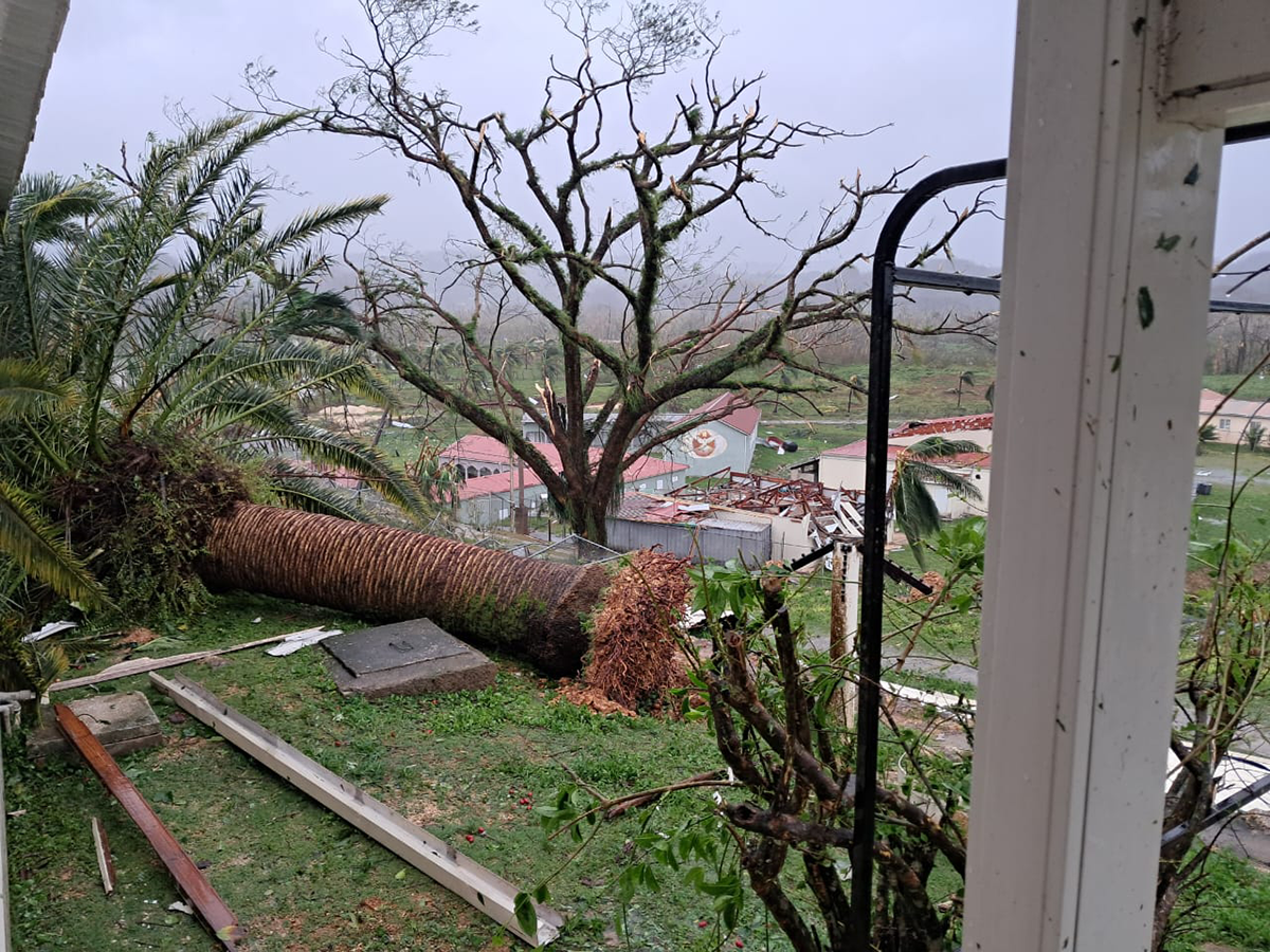 PHOTO-2026-01-09-23-23-01